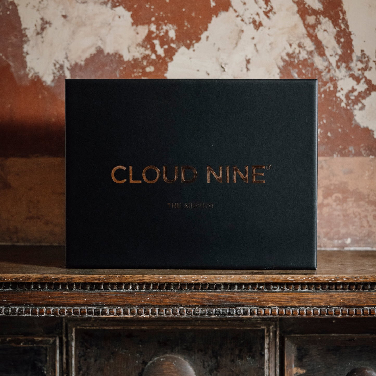The Airshot Hair Dryer by Cloud Nine